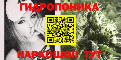 СК Комсомольск-на-Амуре