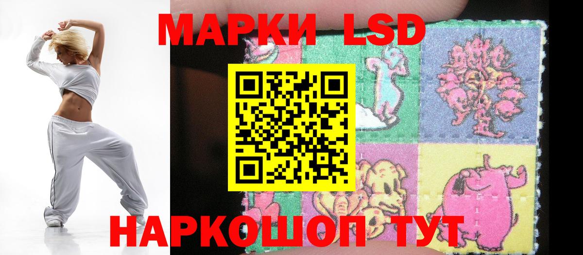 ЛСД экстази  LSD-25 экстази кислота  ЛСД экстази кислота  Вход с VPN  Камышин 