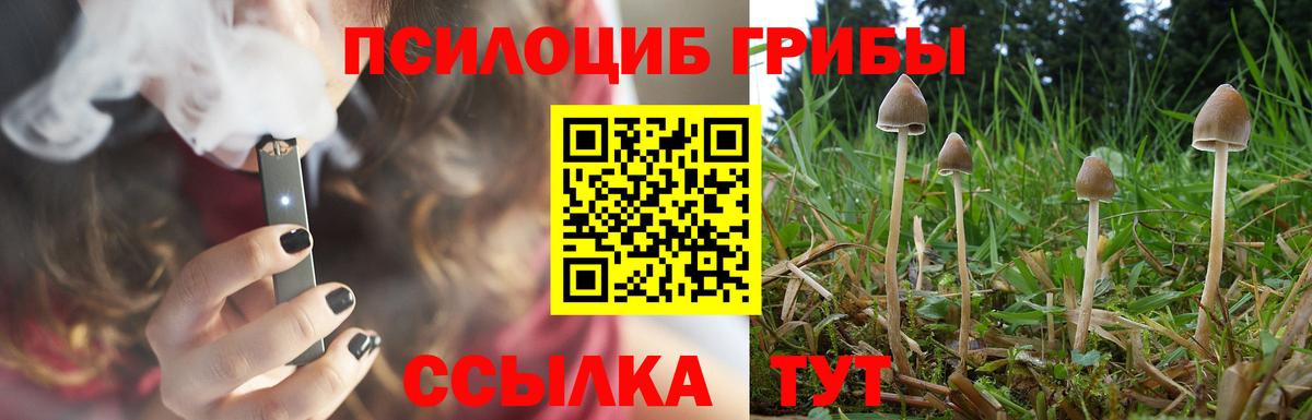 Псилоцибиновые грибы мухоморы Камышин