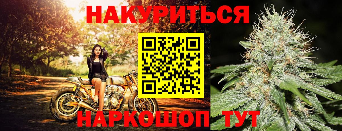 Бошки марихуана семена  Каннабис сатива  Камышин  Конопля гибрид  Вход с VPN 